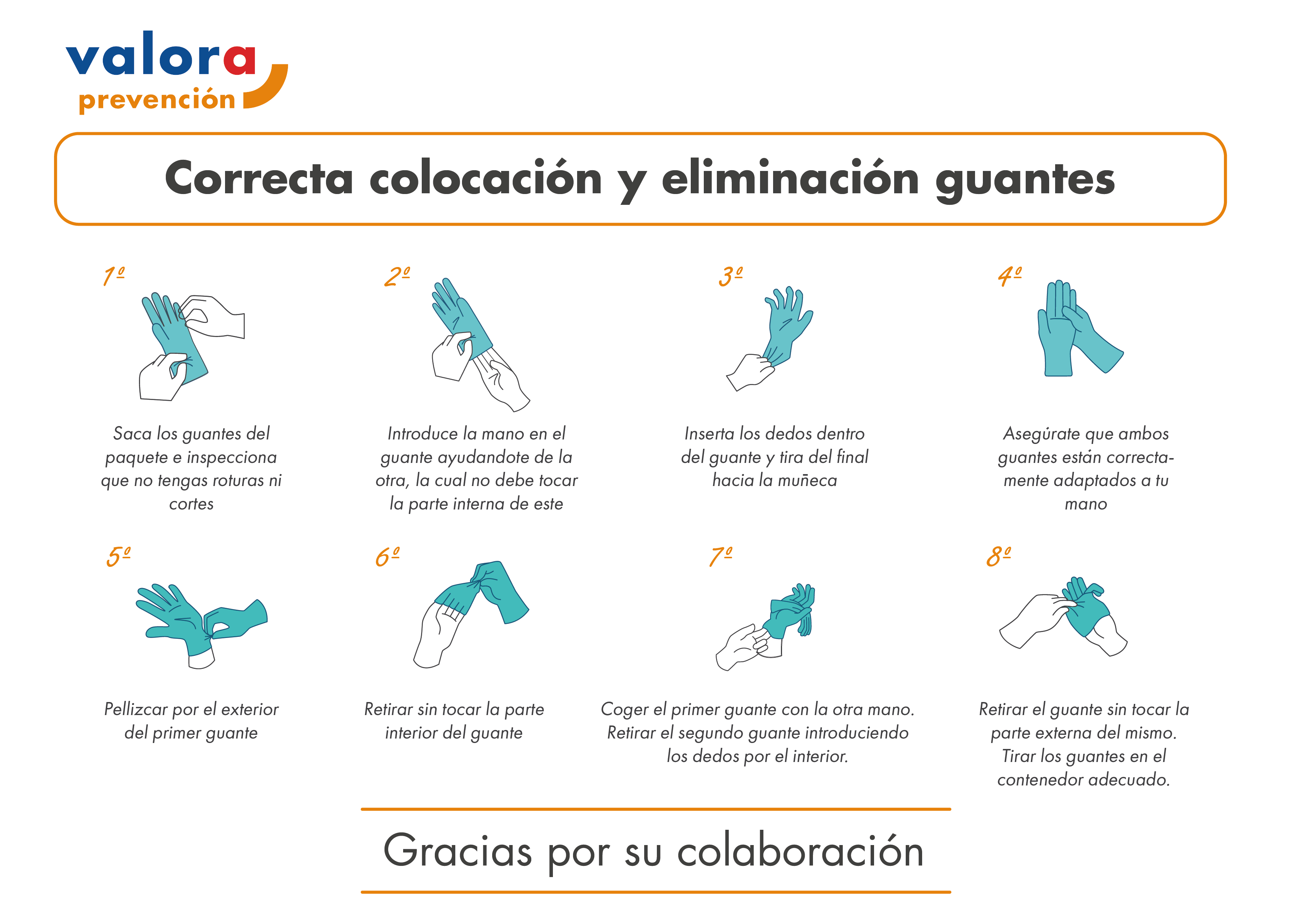 Picasso Roble maleta Correcta colocación y eliminación de guantes - Valora Prevención